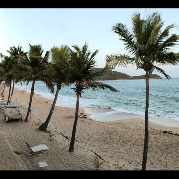 Meet your Posher, Kate - Picture 1 of 1